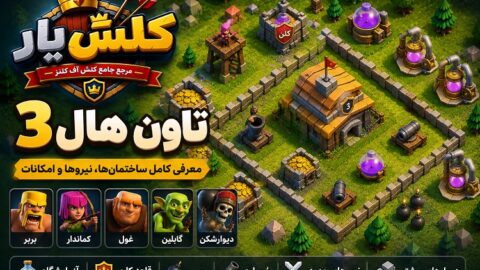 Town Hall 3
